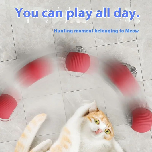 Automatic Rolling Cat Ball Toy