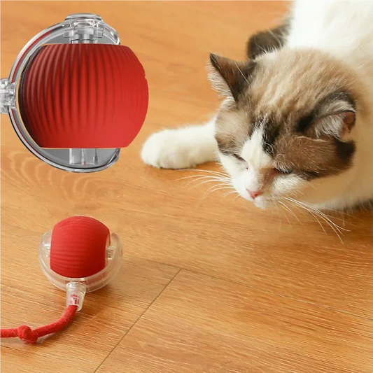Automatic Rolling Cat Ball Toy
